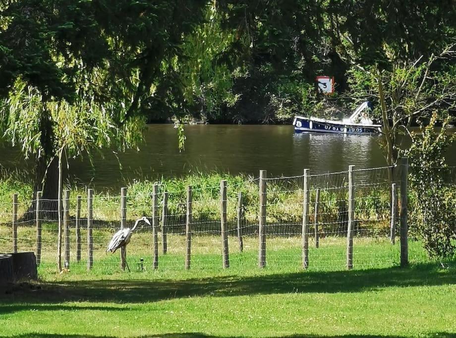 Le Ponton Des Sympetrums Aurec-Sur-Loire Exterior foto
